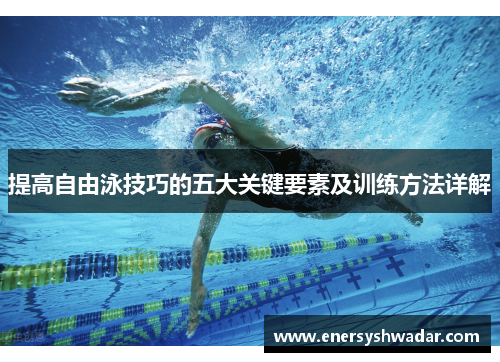 提高自由泳技巧的五大关键要素及训练方法详解