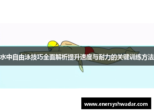 水中自由泳技巧全面解析提升速度与耐力的关键训练方法