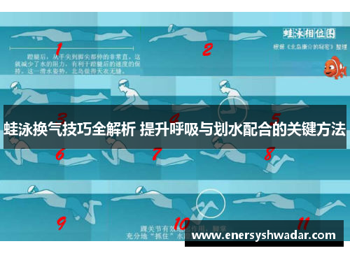 蛙泳换气技巧全解析 提升呼吸与划水配合的关键方法